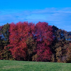 20101031 6888 Mamiya 55mm 2.8