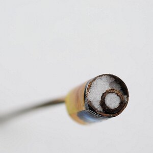 DSC 6998