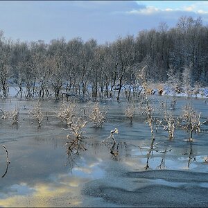 acomp Hasenmoor 0437
