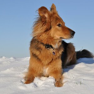 Monty