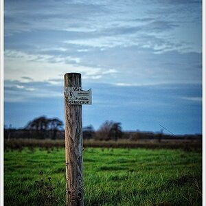 DSC 5088nff