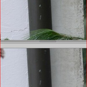 Vergleich RAW JPEG 2