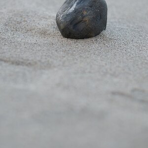 Stein DOF