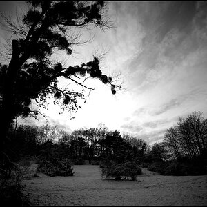 (6NFF)D3S 0136
