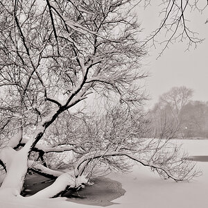 Kiel - Schrevenpark
2. Dezember 2010