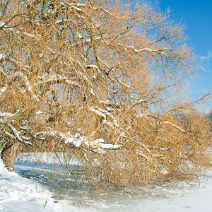 Kiel - Schrevenpark
4. Dezember 2010