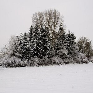 Pfortz 25 12 2010 40