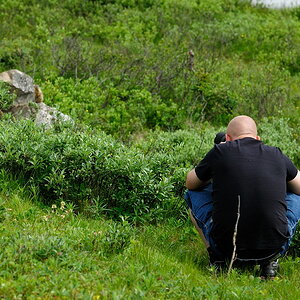 DSC4923 NF-F
Landschaft + Fotograf in den kanadischen Rocky Mountains
südöstlich des Banff NP