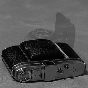 Retina Ib (018)