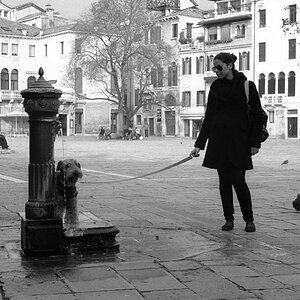 New Venedig 201011 5