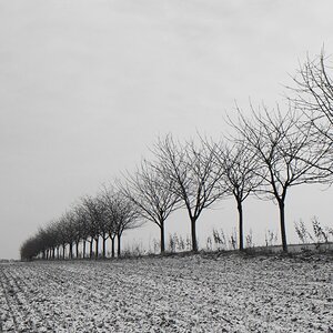 NF B 2010 11 28 13 42 29 sw