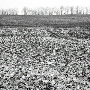 NF B 2010 11 28 15 21 23 sw