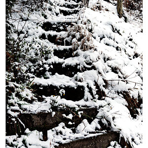 treppe