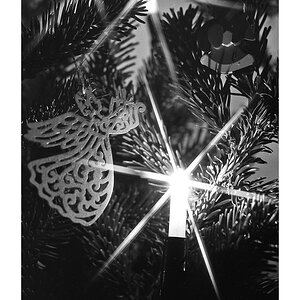Nikon F100, Ilford PAN F 50, Nikkor AF 50/1.8D @ f/4, Sternenfilter