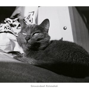 Nikon F100, Ilford Delta 400, Nikkor 24/2.8 AiS @ f/4