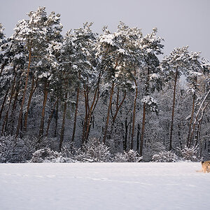20100103 1020471 [DMC G1]   45 mm  1 400 Sek. bei ƒ   5,6