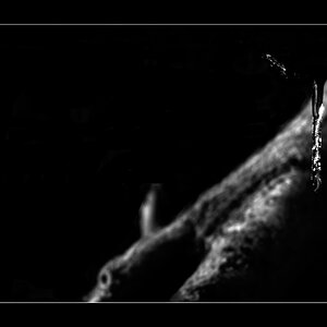 EisDSC 0035