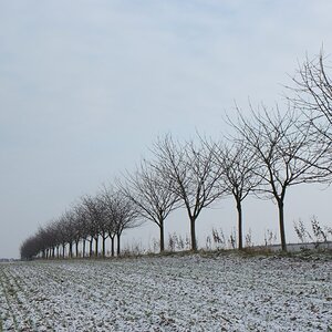 NF B 2010 11 28 13 42 29