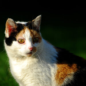 Bild 090
