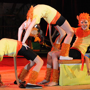 Kinderturn-Show (Affen-stark und Löwen-schlau)