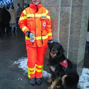 Hier mal ein Hovaward als Rettungshund!

Sieht man leider nur noch sehr selten.