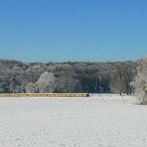Winter2010 1a