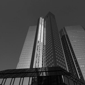 DSC 7488