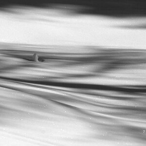 Schatten im Schnee