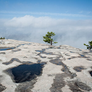 Stone Mountain 3