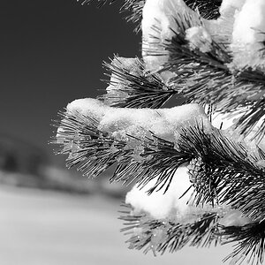comp DSC 5078 3161Weihnachten