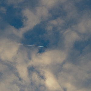 2011 01 04 09 29 42 1