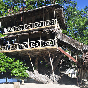 Das Treehouse von New Ireland