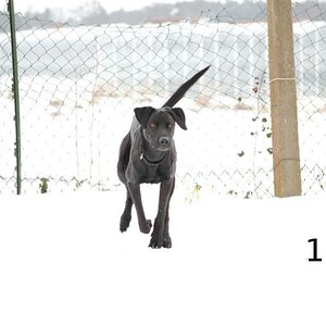 ISBennoschneebew30