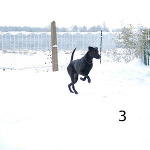 ISBennoschneebew32