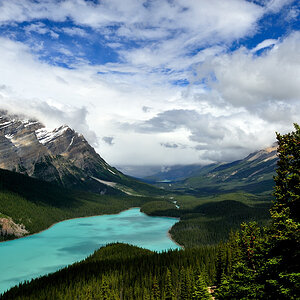 DSC4960 NF-F
Peyto Lake
Banff NP