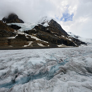 DSC4966 NF-F
Columbia Icefield
Jasper NP