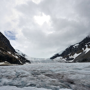 DSC4969 NF-F
Columbia Icefield
Jasper NP