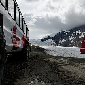 DSC4981 NF-F
Columbia Icefield
Jasper NP