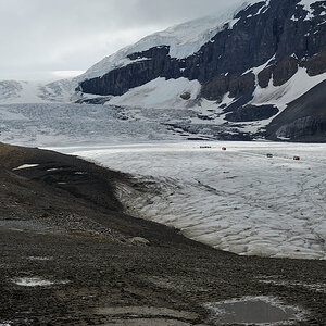 DSC4983 NF-F
Columbia Icefield
Jasper NP