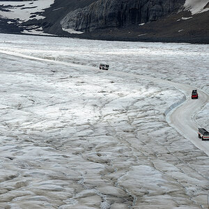 DSC4988 NF-F
Columbia Icefield
Jasper NP