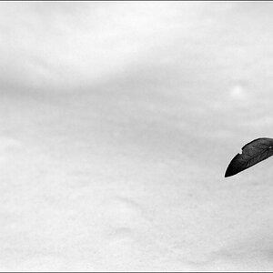WinterDSC 0058