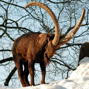 DSC 6657 bearbeitet klein