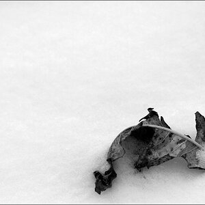 WinterDSC 0060