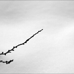 WinterDSC 0061