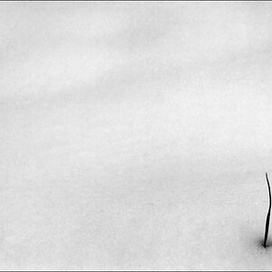 WinterDSC 0063