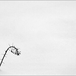 WinterDSC 0066