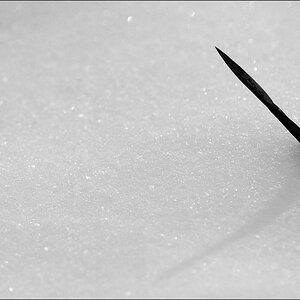 WinterDSC 0067