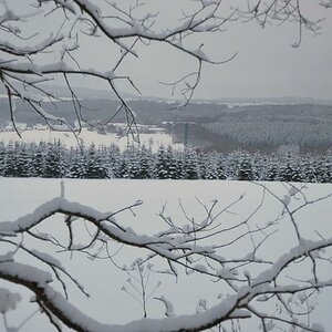 DSC 0651 Neuschnee 17 a