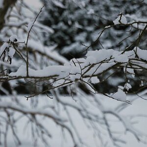 DSC 0653 Neuschnee 1 a
