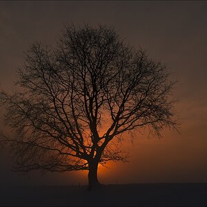 2010 12 18 08 42 15 a